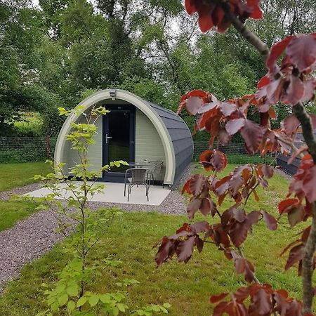 Mount Hillary Holiday Pods Корк Экстерьер фото