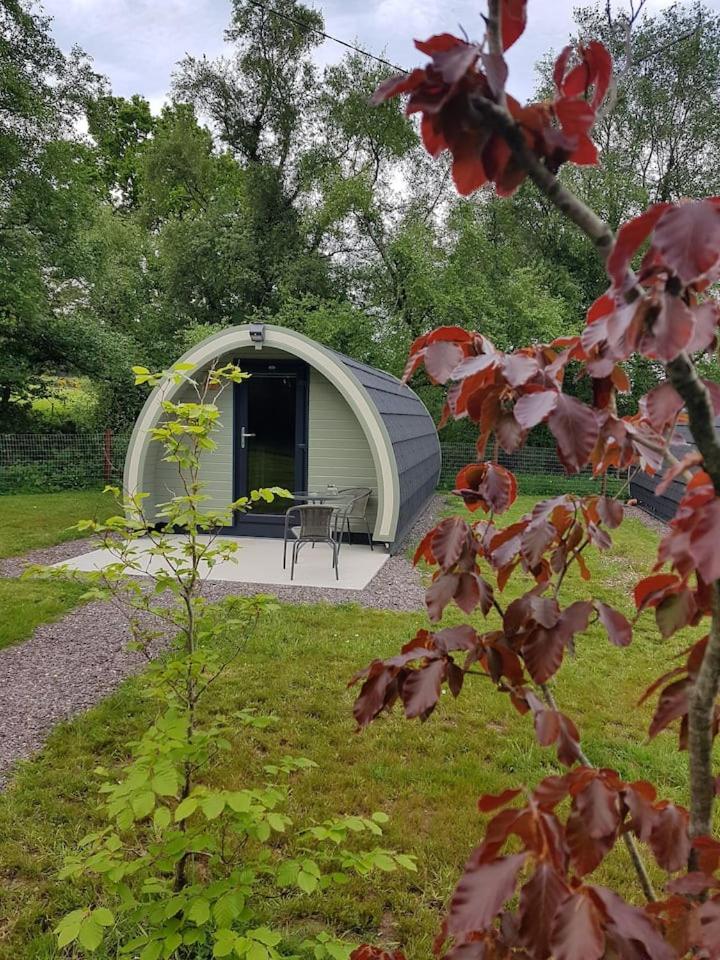 Mount Hillary Holiday Pods Корк Экстерьер фото